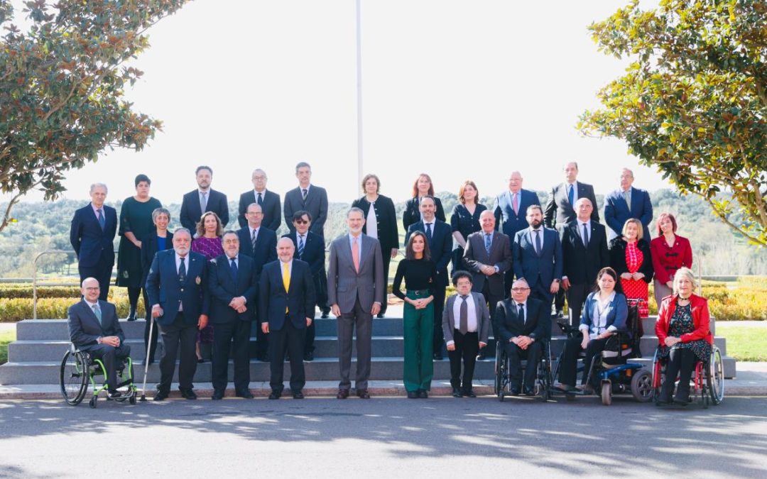 audiencia reyes reforma articulo 49